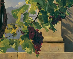 Trailing Grapes