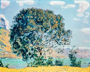 Unknown Image