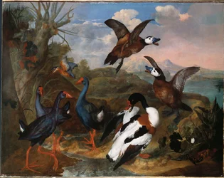 Shell Ducks and other Fowl in a Landscape