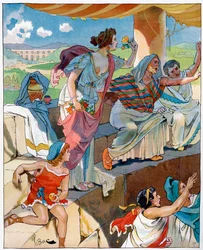 The Arenas of Lutetia