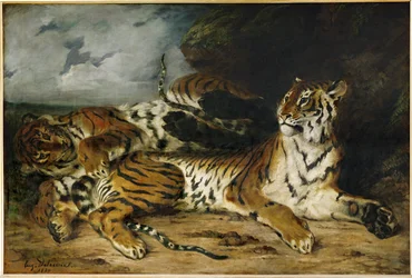 Young Tiger Playing with Its Mother