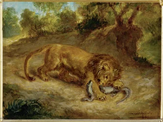 Lion and Cayman