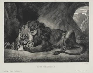 Atlas Lion, 1829