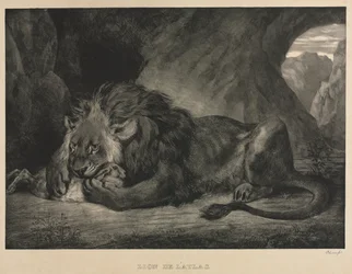 Lion of the Atlas, 1829