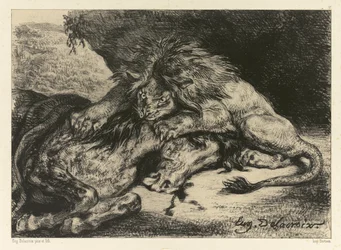 Lion Devouring a Horse