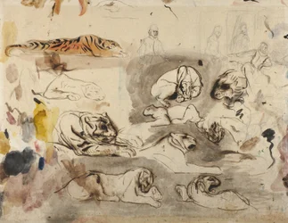 Sketches of Tigers and Men in 16th Century Costume