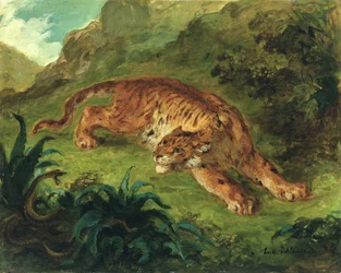 Tiger and Snake