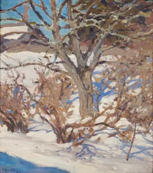 Winter Landscape