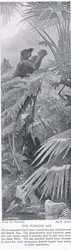 The Pliocene Age, illustration from 