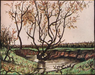 The Stream