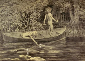 Water Lilies