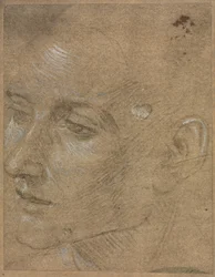 Head of a Young Man, second half 1400s