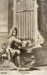 Man playing the organ