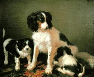 A Spaniel with Two Puppies