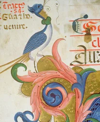 Fantastical Bird with Human Head (detail)