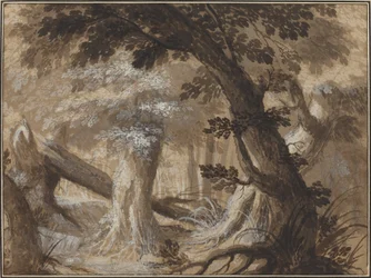 Forest Interior