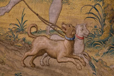 The rob of Ganymedes (detail)