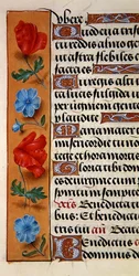 Detail of a Floral Border from a Book of Hours, c.1500