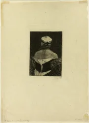 The Model