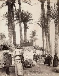 Village on the Banks of the Nile
