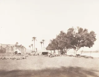 Korósko, Sycomores and Caravan Camp for the Sennár
