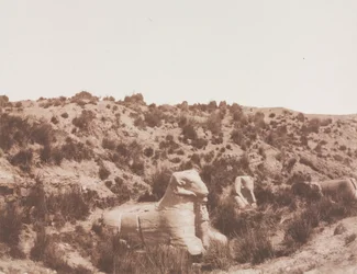 Sphinxes with a Human Head and with a Ram Head at Point Y. Karnak Thebes, 1851-1852