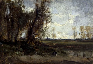The Pond