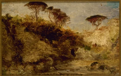 Naples, Umbrella Pines