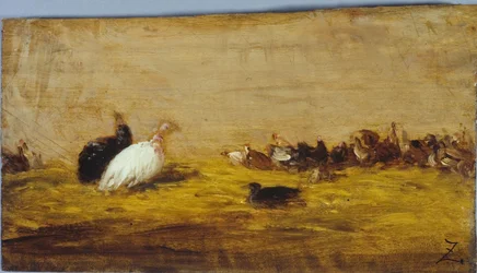 Turkeys