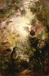 The Fairy Hunt