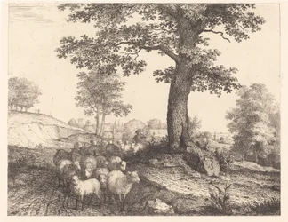 Shepherd and Flock under an Ancient Tree
