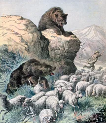 Bears of the Cagyre