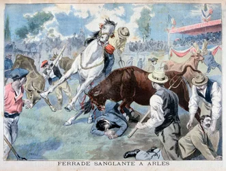 Bullfight Incident, Arles, France, 1898