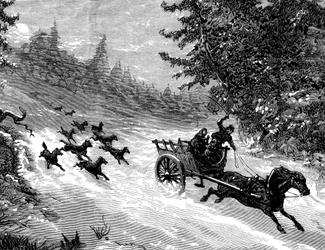The fear of the wolf: A pack of wolves pursues a cart carrying three people, drawn by a horse running away in the snow, in a forest in the Ardennes - engraving by Meaulle in “The Illustrious Universe” No. 918, January 1872