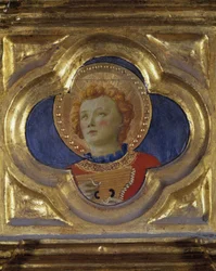 Unknown Image