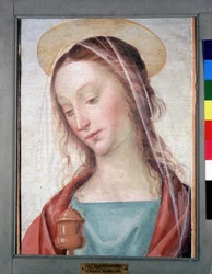 Unknown Image