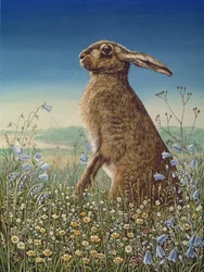 Hare, 1984