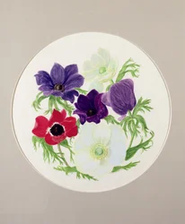 Anemones
