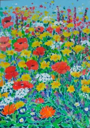 Wild Flower Meadow, 2024