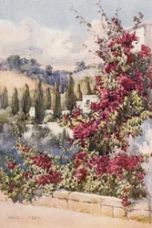 On my Balcony, Algiers