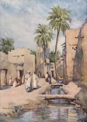 The Oasis of Biskra, Algeria