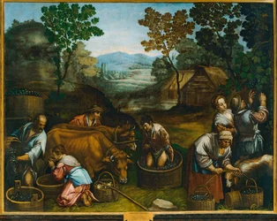Grape Harvest