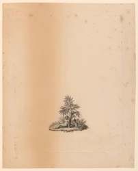 Vignette for 