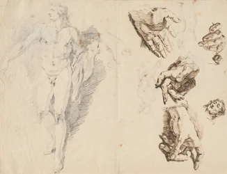 Apollo and Studies of the Artist