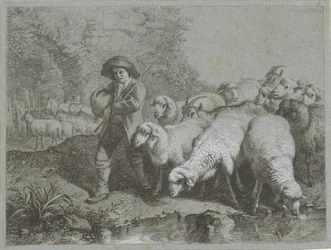 Shepherd with Flock of Sheep and Goats