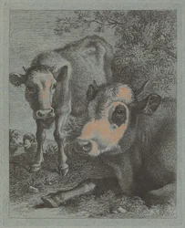 Reclining Cow and Calf in the Open, 1758-1759