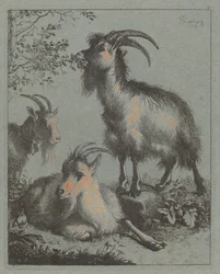 Three Goats, 1758