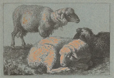 Two Reclining Sheep and One Standing Sheep, 1757-1758