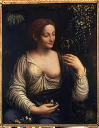 Flora (1510-1515)