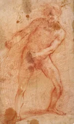 Male Nude Pulling a Net